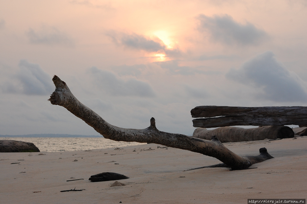 Point Denis Кокобич, Габон