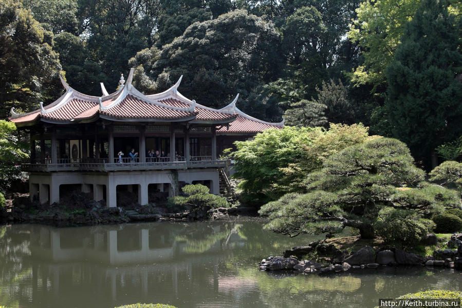 Shinjuku gyoen Токио, Япония