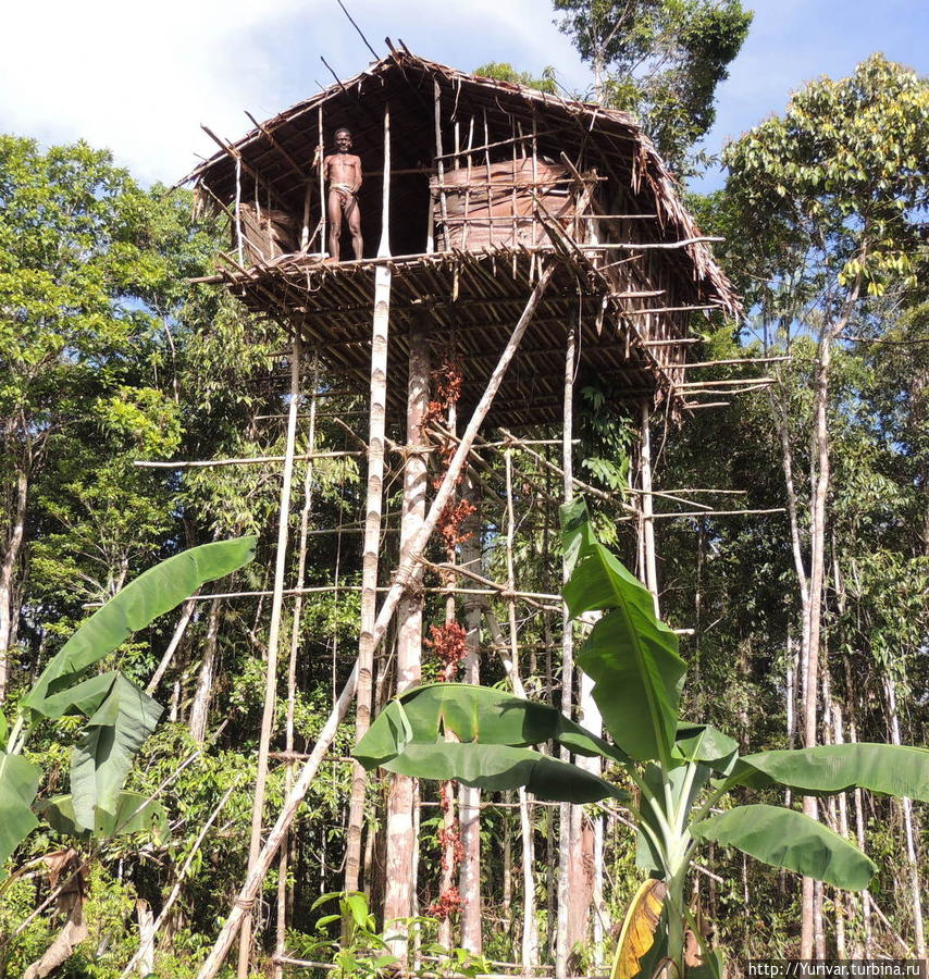 Коровайский дом сделан без единого гвоздя Джайпура, Индонезия