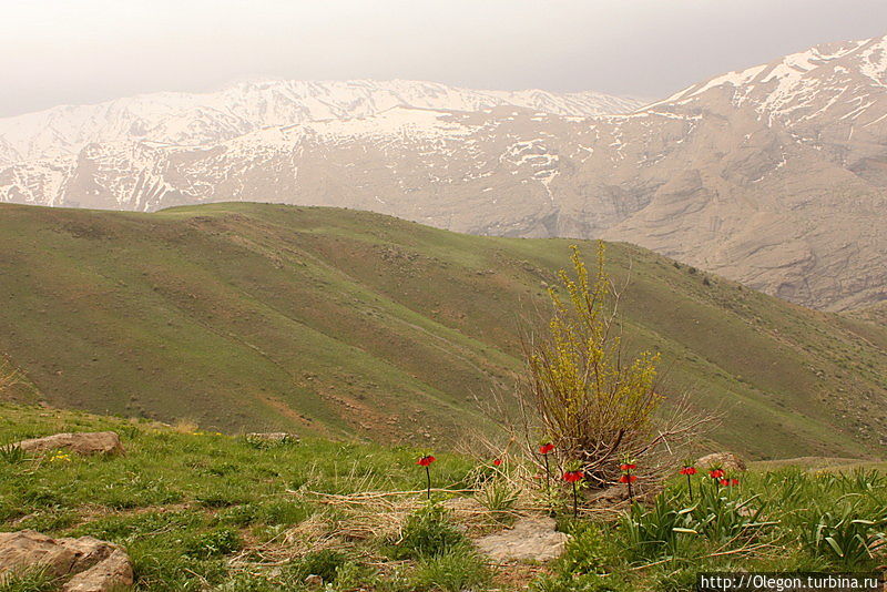 Западный Иран, красоты гор Загрос