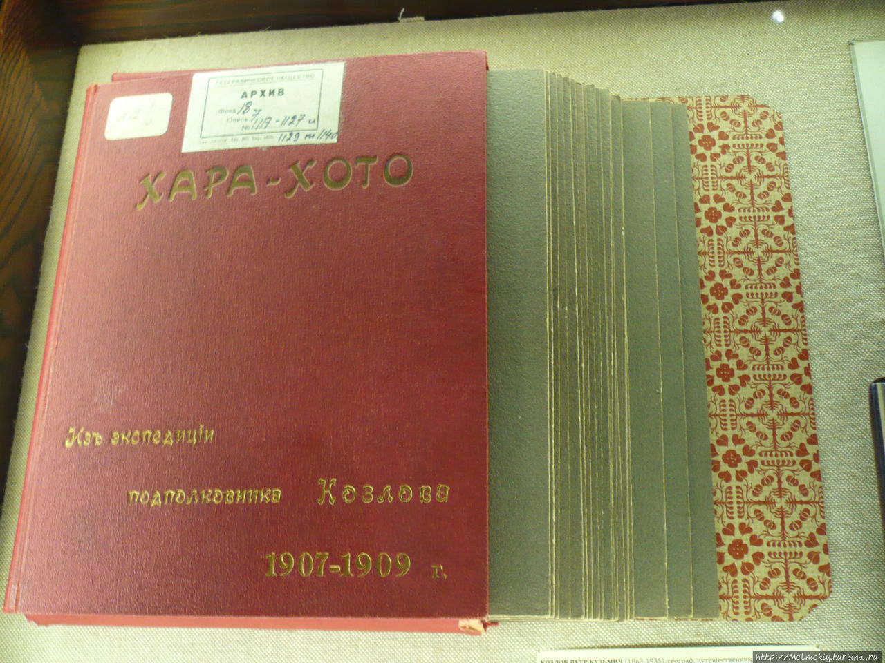 Новый музей в Питере Санкт-Петербург, Россия