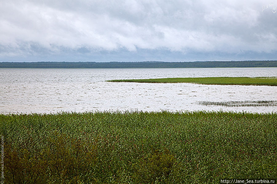 Берег Лекшмозера в деревне Морщихинская