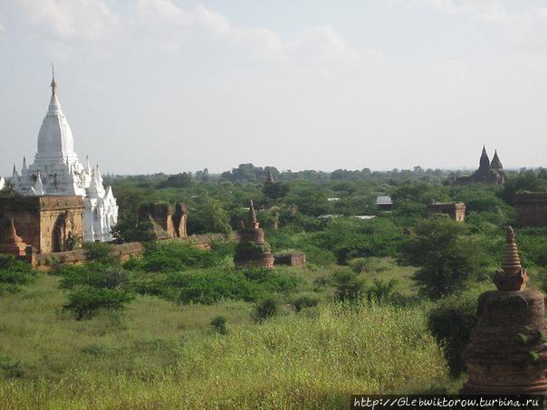 Осмотр храмов в центре баганского поля Баган, Мьянма
