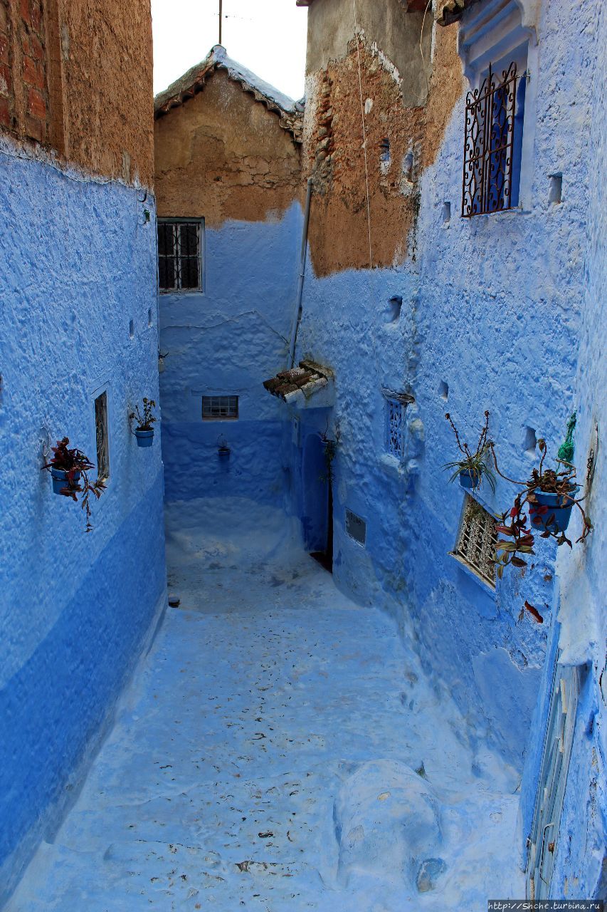 Медина Шефшауэна Шефшауэн, Марокко