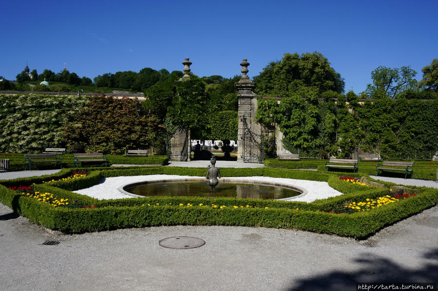 Приглашаю на прогулку по саду  Мирабель Зальцбург, Австрия