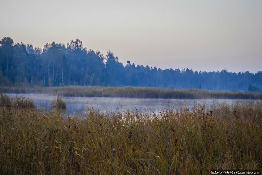 Осень. Озеро Каниера, рассвет, утро Кемери, Латвия