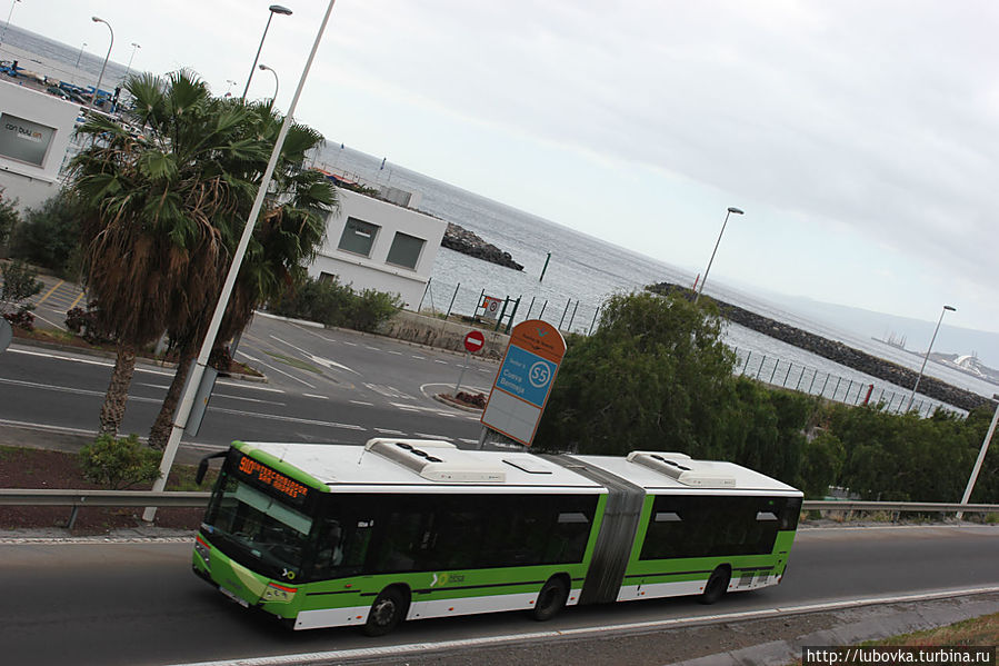 Автобус № 910 везёт вас из Столицы Санта Крус до знаменитого пляжа. Остров Тенерифе, Испания
