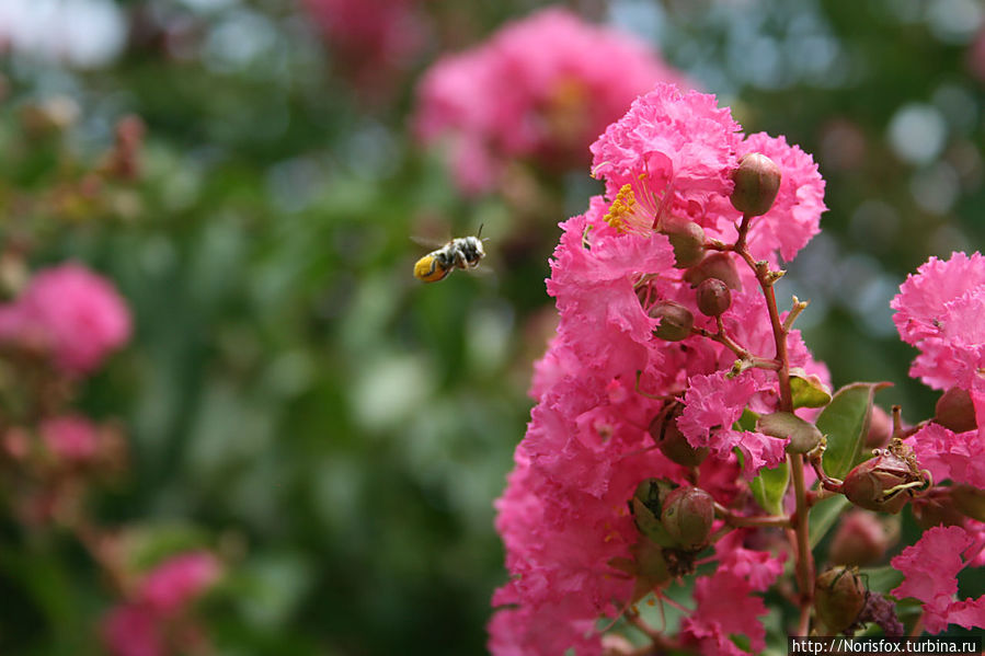Поздравляю