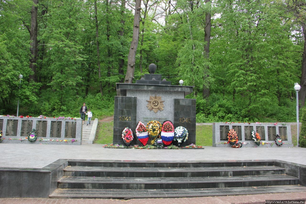 Воронеж- город воинской славы! Воронеж, Россия