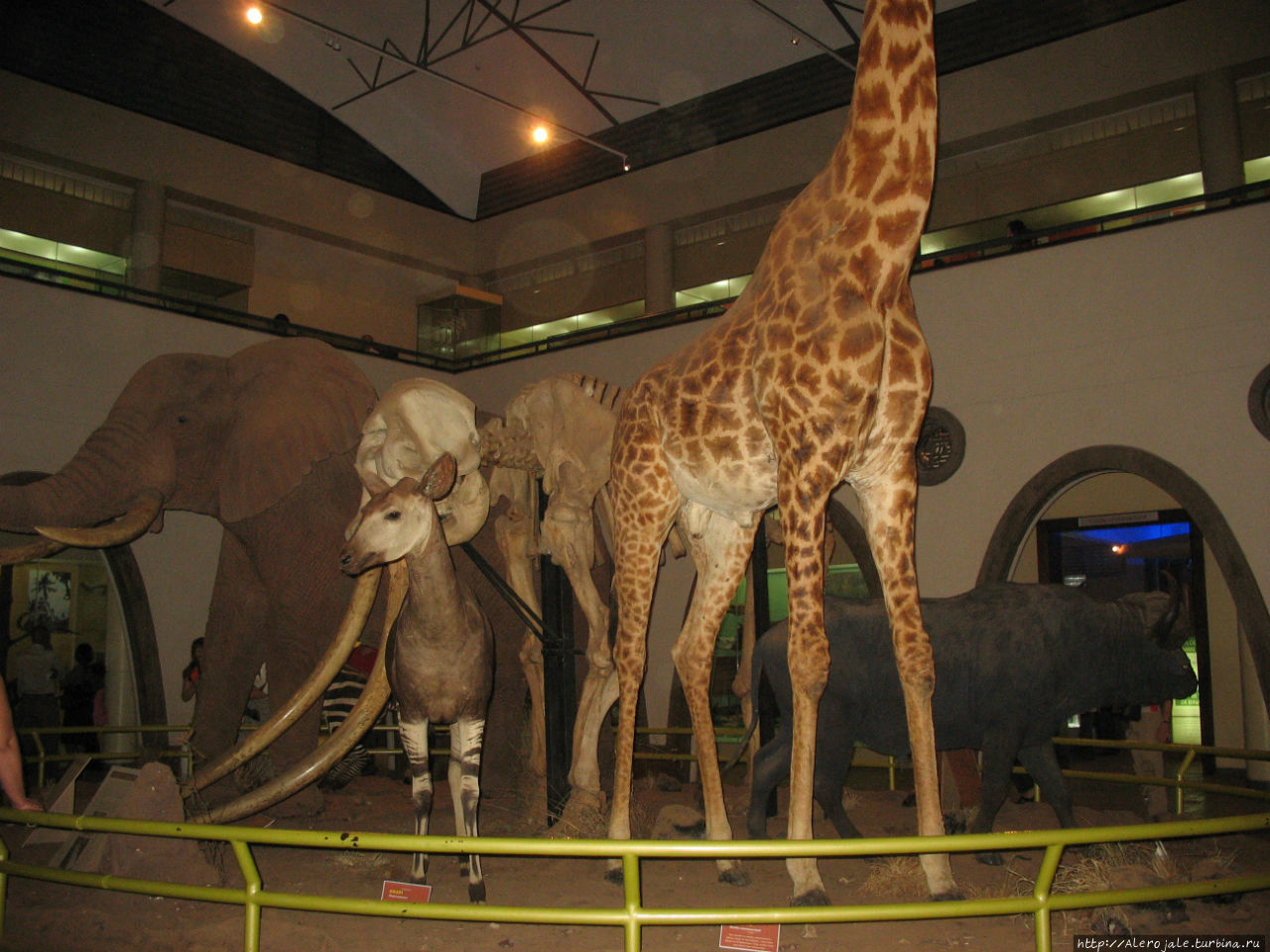 Музей в Наироби Найроби, Кения