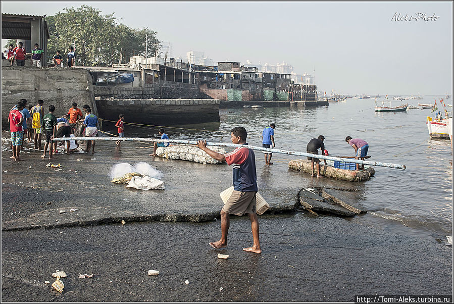 Слева видно строения деревни рыбаков. Вода в пределах города довольно грязная, и этому, я догадываюсь, есть реальное объяснение — канализации в таких поселениях нет и все сливается в море...
* Мумбаи, Индия