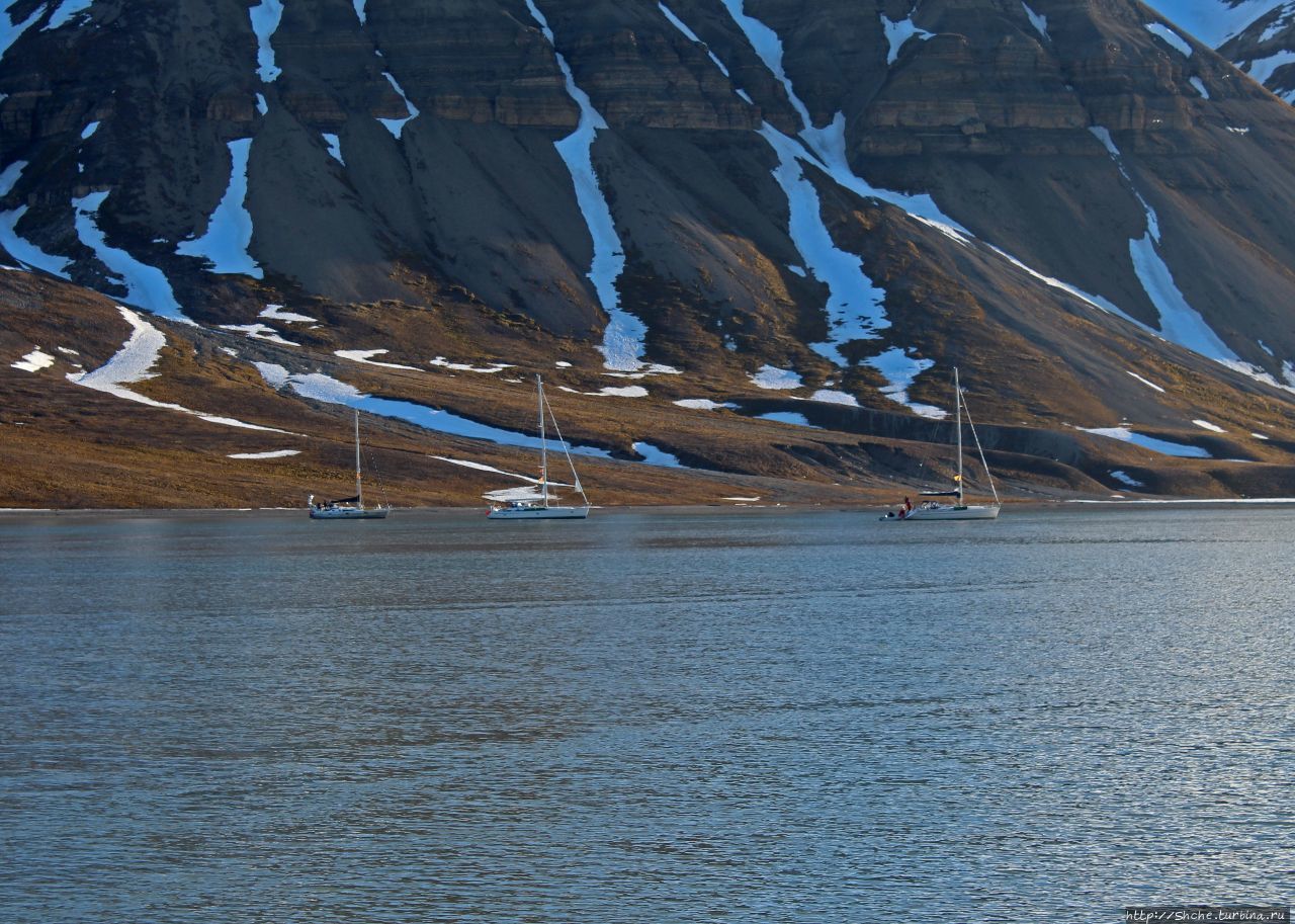 Шпицберген на яхтах. Первая якорная стоянка в красивой бухте Нордре Исфьорден Национальный Парк, Свальбард