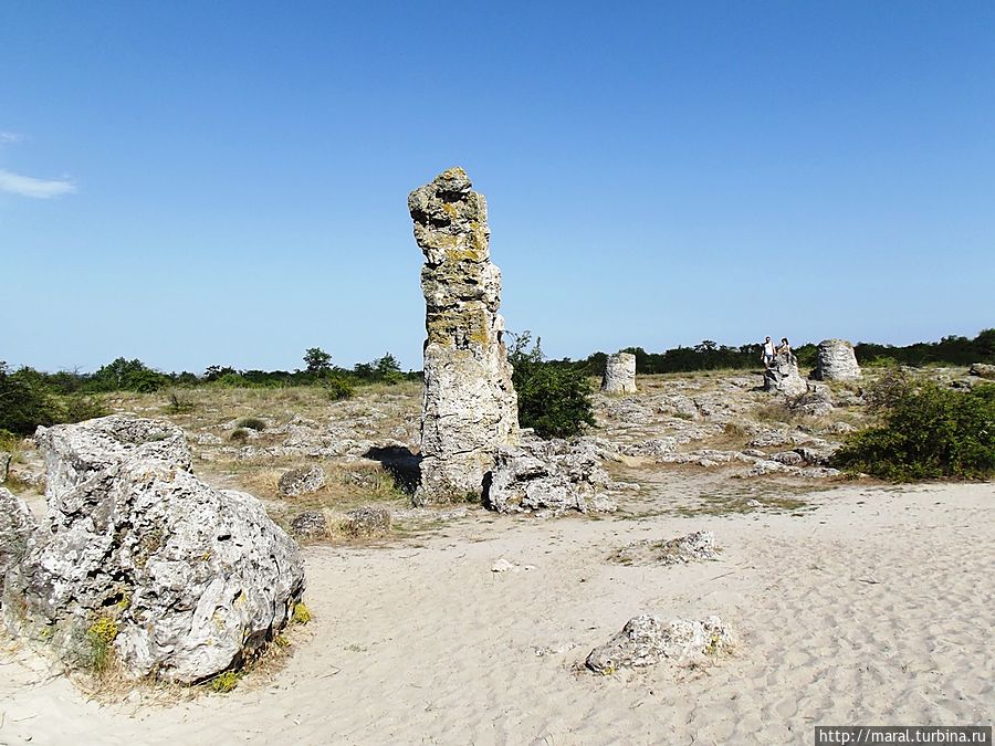 В таком пустынном месте любят бродить влюбленные пары