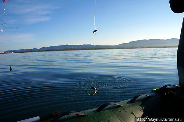 Вот  такая рыбалка Южно-Сахалинск, Россия