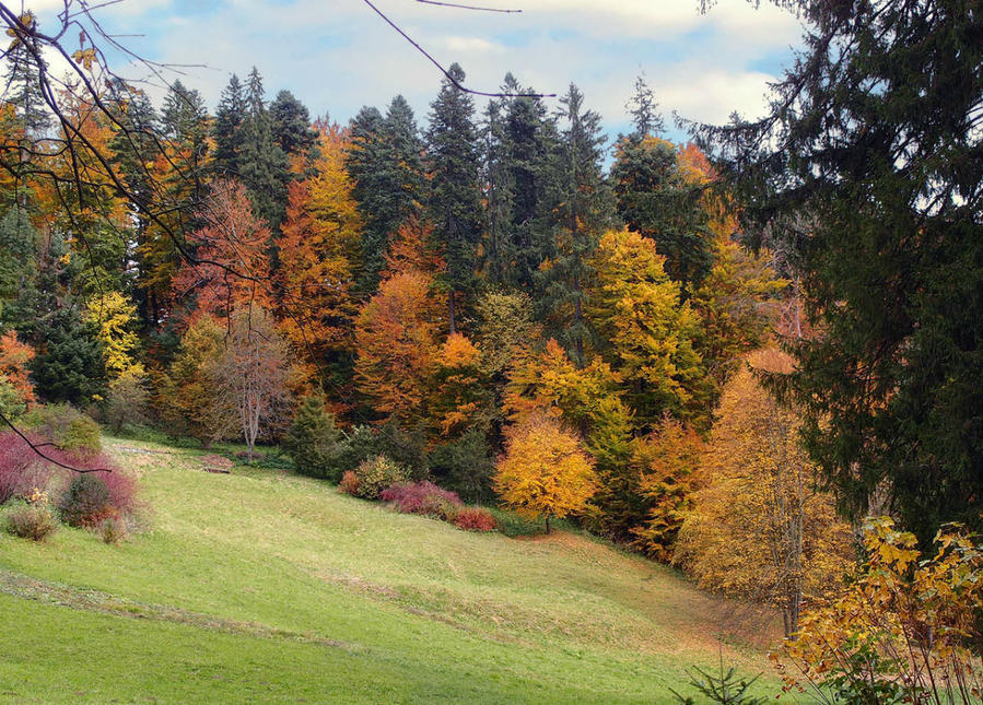 Замок Пелеш Синая, Румыния