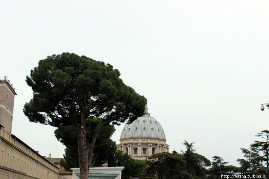 Музеи Ватикана. Первая часть. Ватикан (столица), Ватикан
