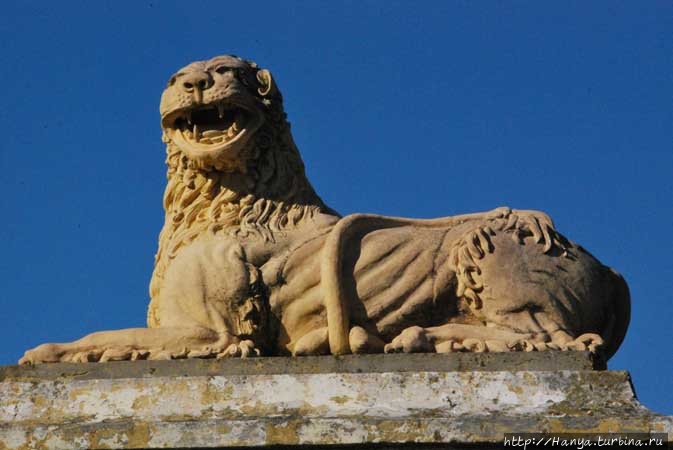 Из интернета