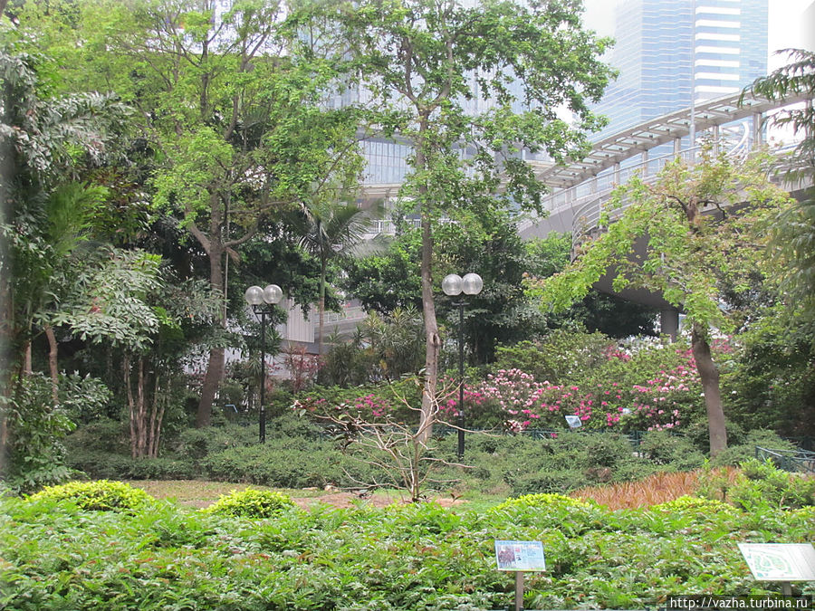 Много кислороду в парке Гонконг