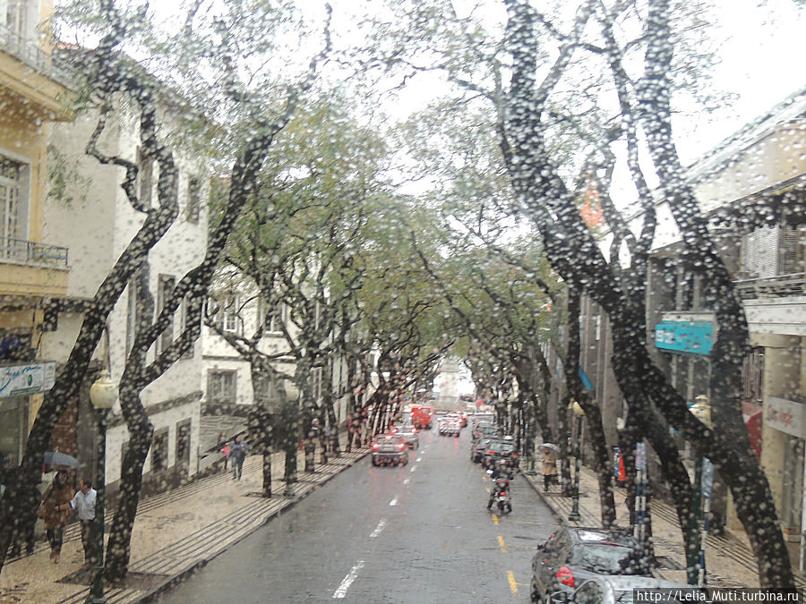 Плачущий Фуншал. Фуншал, Португалия