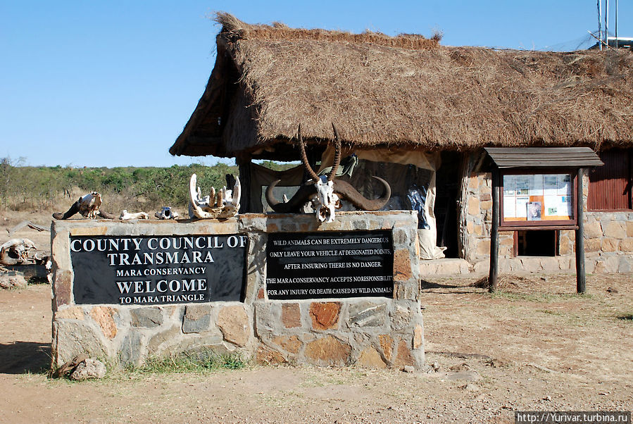Миграция туристов из Масай Мары в Серенгети Серенгети Национальный Парк, Танзания