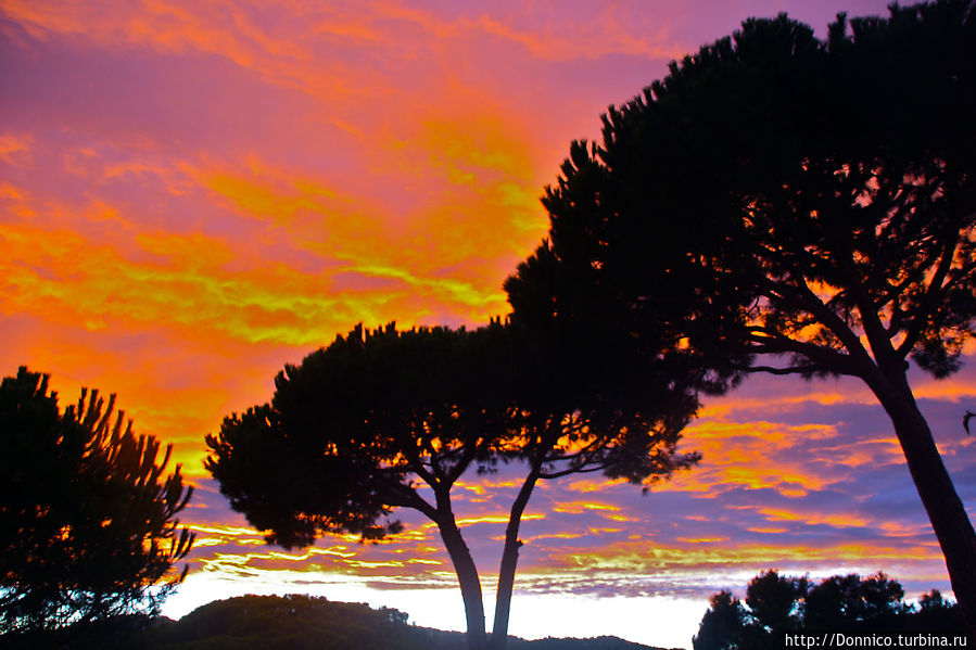 Этюд в багряных тонах Плайя-д-Аро, Испания