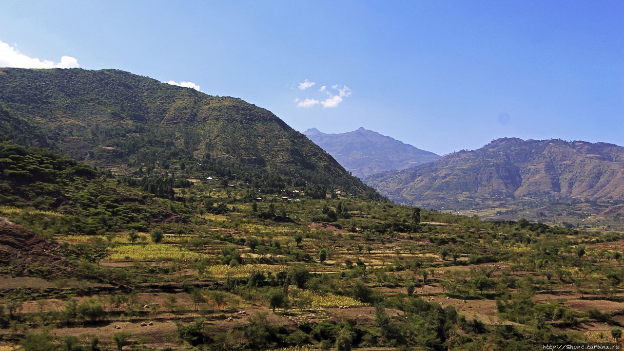 Эфиопские картинки. Дорога в Лалибелу. Регион Амхара Регион Амхара, Эфиопия