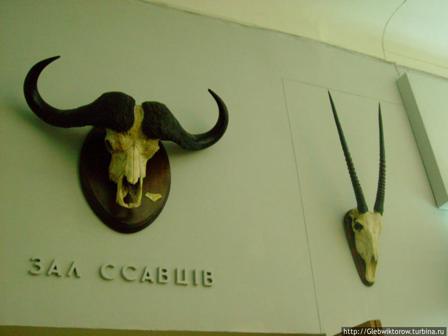 Національний науково- природничий музей Киев, Украина
