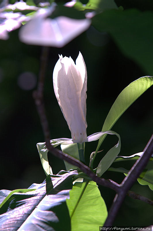 Замок и парк Хохенхайм — история штутгартского университета Штутгарт, Германия