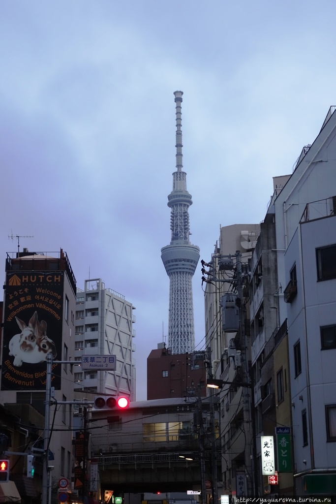 Телевизионная башня Токио Токио, Япония