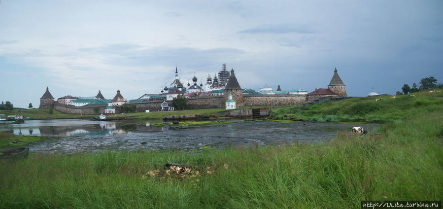 панорама монастыря с Сельдянного мыса Соловецкие острова, Россия