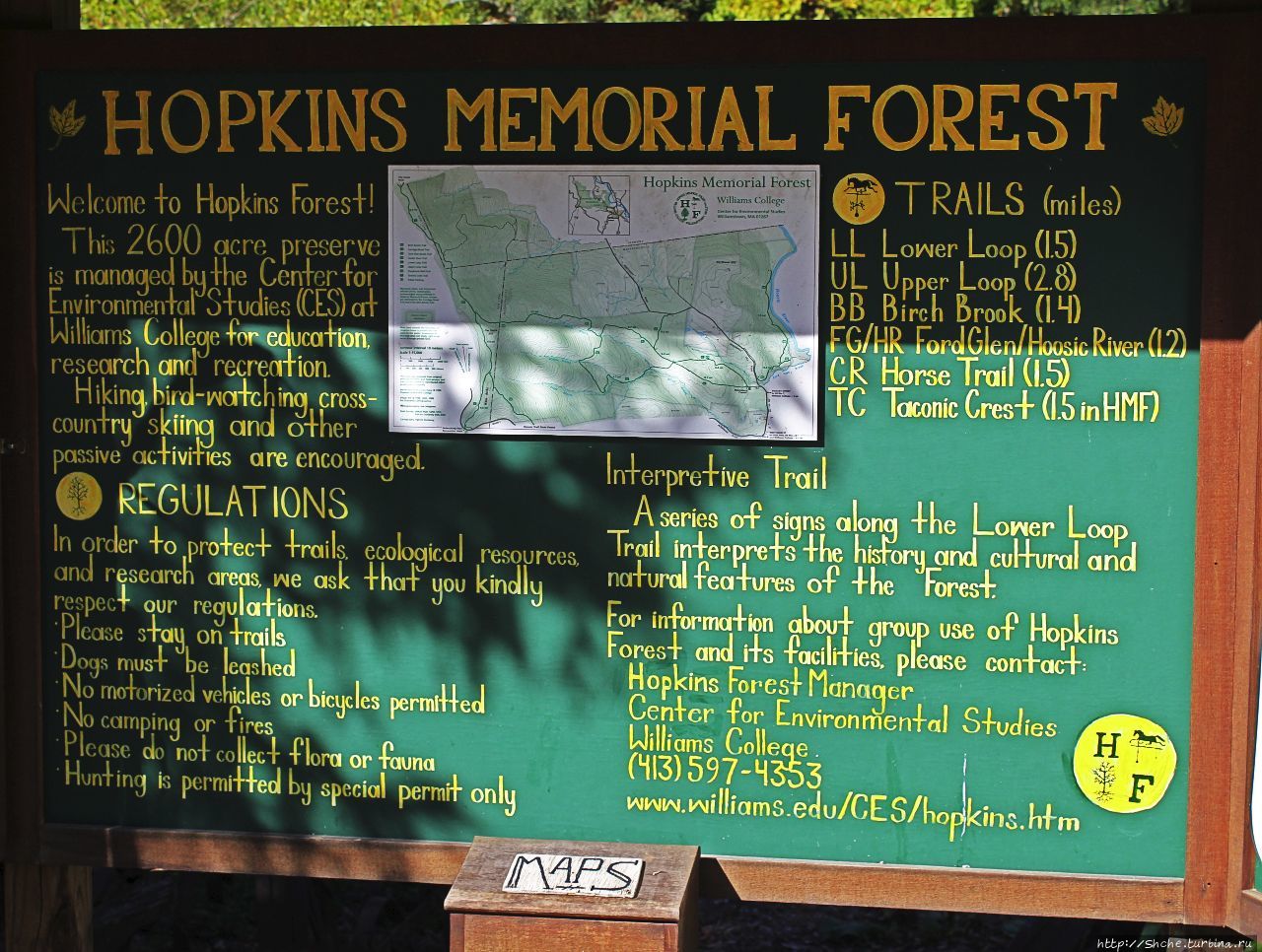 Мемориальный лес Хопкинса Уильямстаун, CША