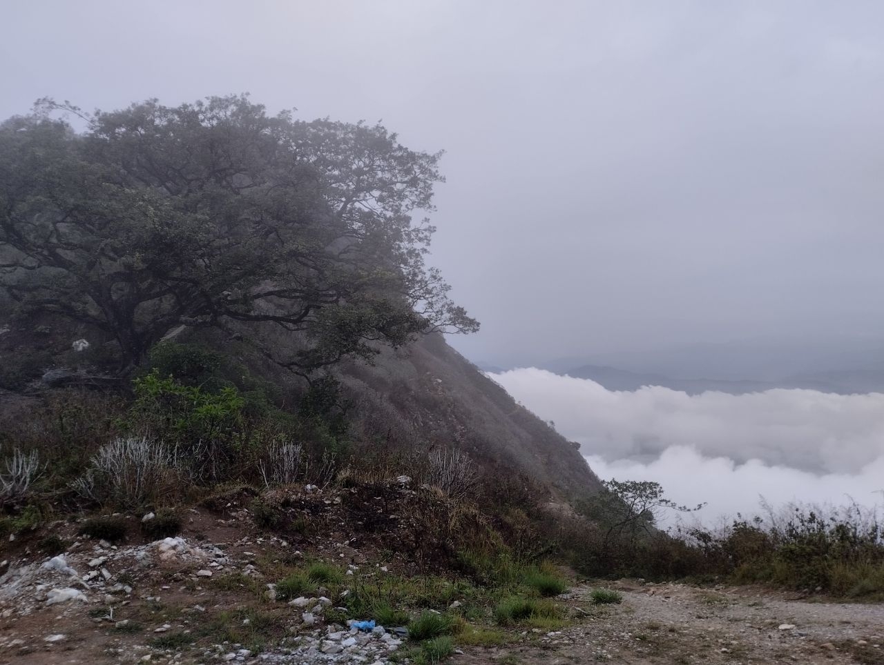 Туманный Бандипур Бандипур, Непал