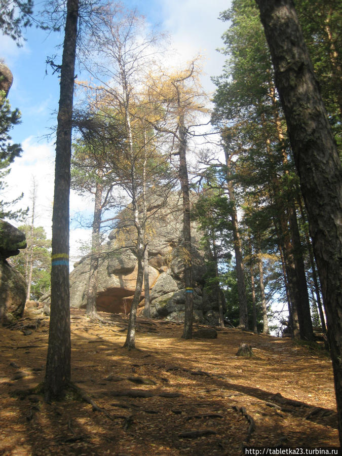 Красноярск. Заповедник Красноярские столбы Красноярский край, Россия