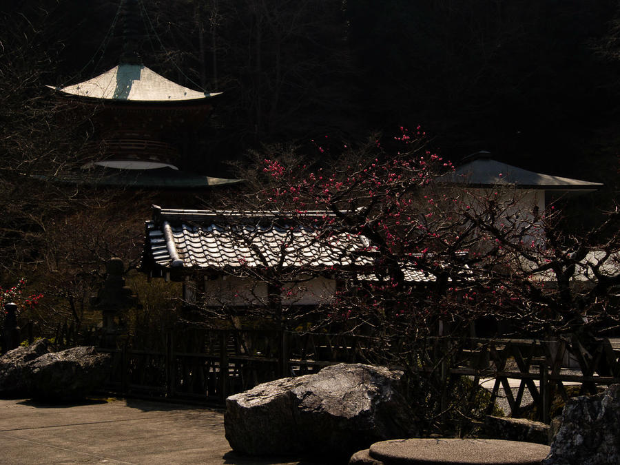 Небольшая пагода храма Хориндзи.
