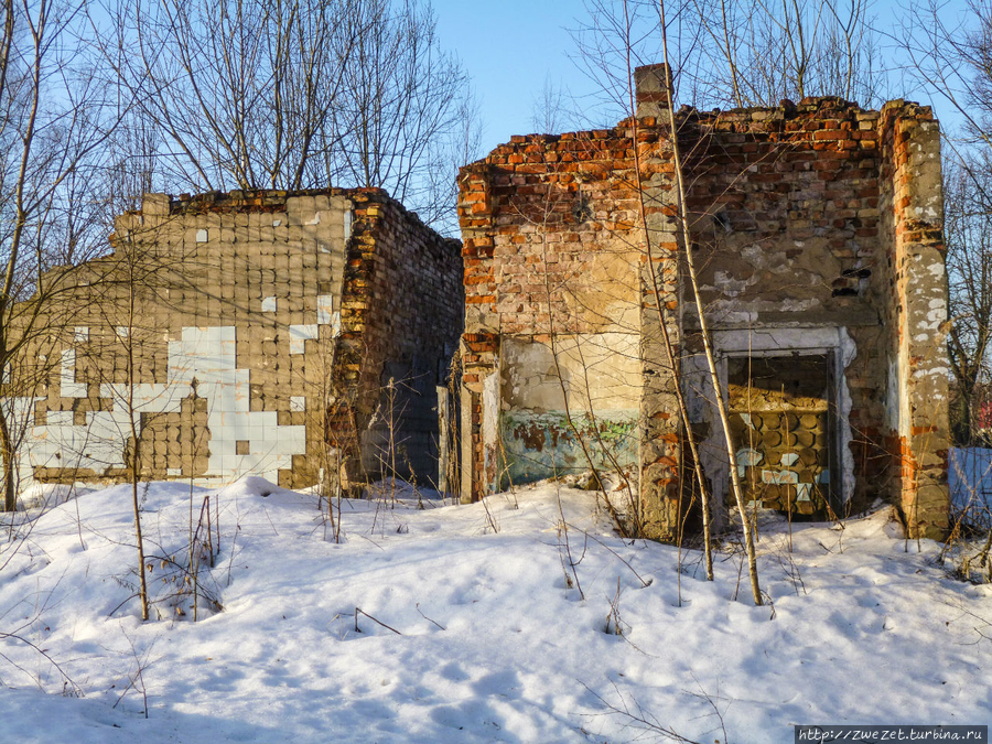 Развалины столовой Москва и Московская область, Россия