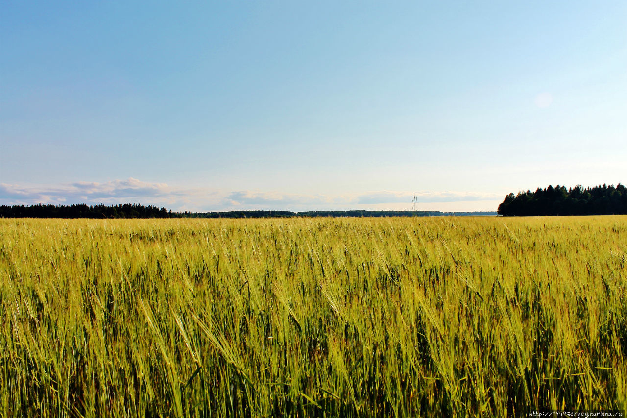 Воспоминания #3 Санкт-Петербург и Ленинградская область, Россия