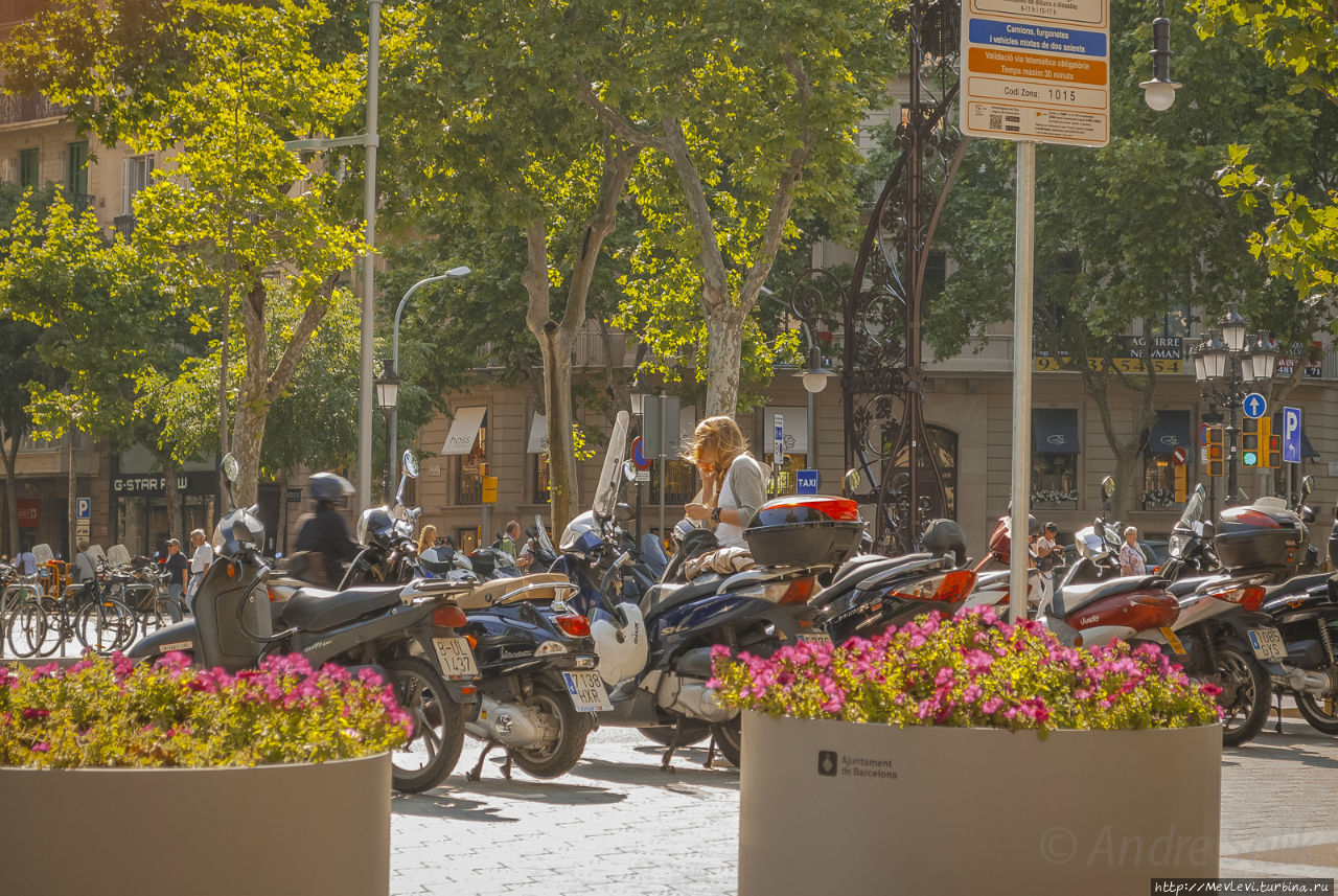 Май в Барселоне Барселона, Испания