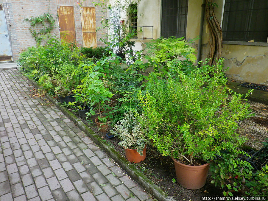 Феррара. Ботанический сад Феррара, Италия