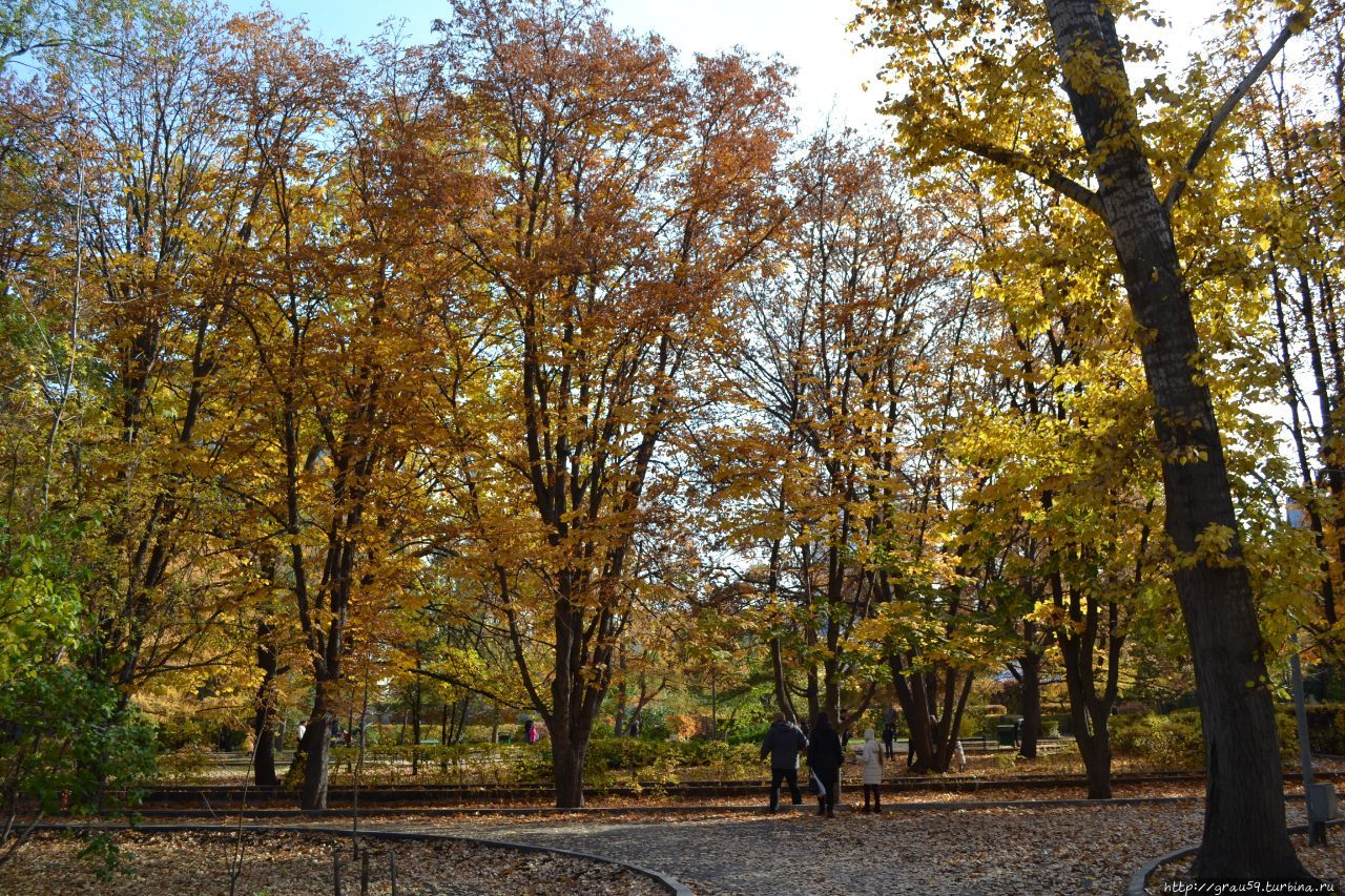 Городской парк культуры и отдыха 