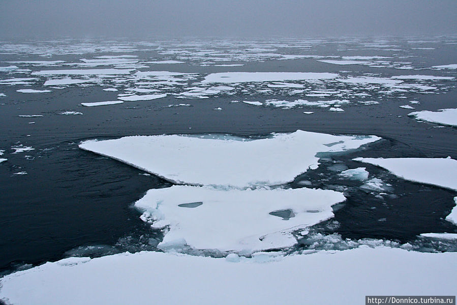 Ледяной Король (по совместительству муж Снежной Королевы)...