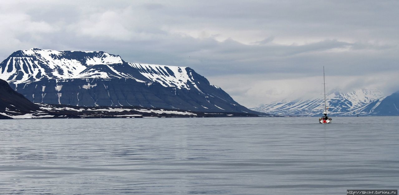 Остров Акселойя Залив Белльсунн, Свальбард