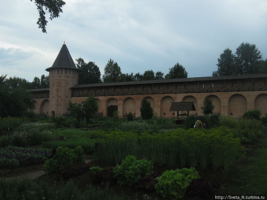 Аптекарский огород Спасо-Евфимиева монастыря