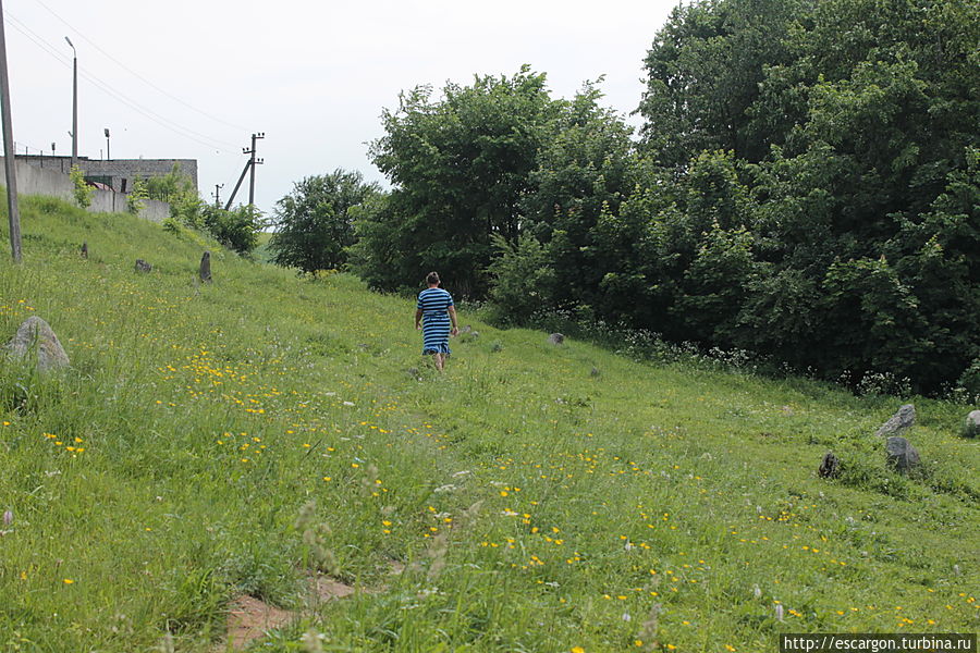 А вот и городище...