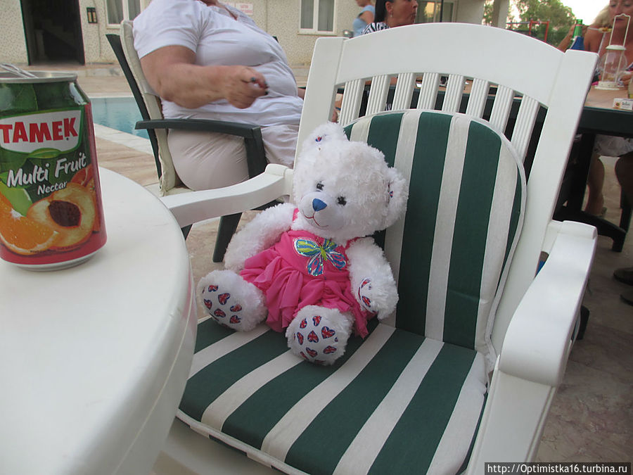 Прошёл год, и вновь English Party в Дидиме Дидим, Турция