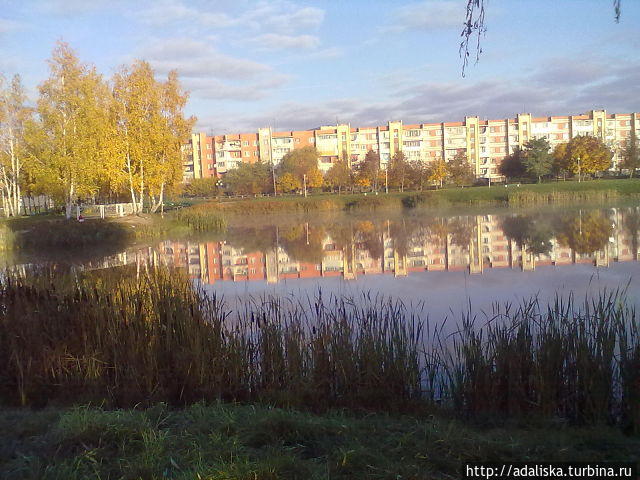 Красота осени, отражение в озере.смотря на это фото и не скажешь, что осень грустное время года. Барановичи, Беларусь