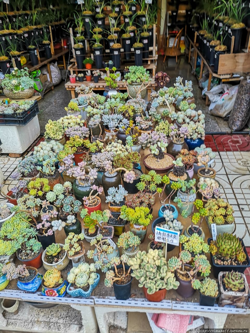 Рынки в Китае, с которых распространяются коронавирусы. Куньмин, Китай