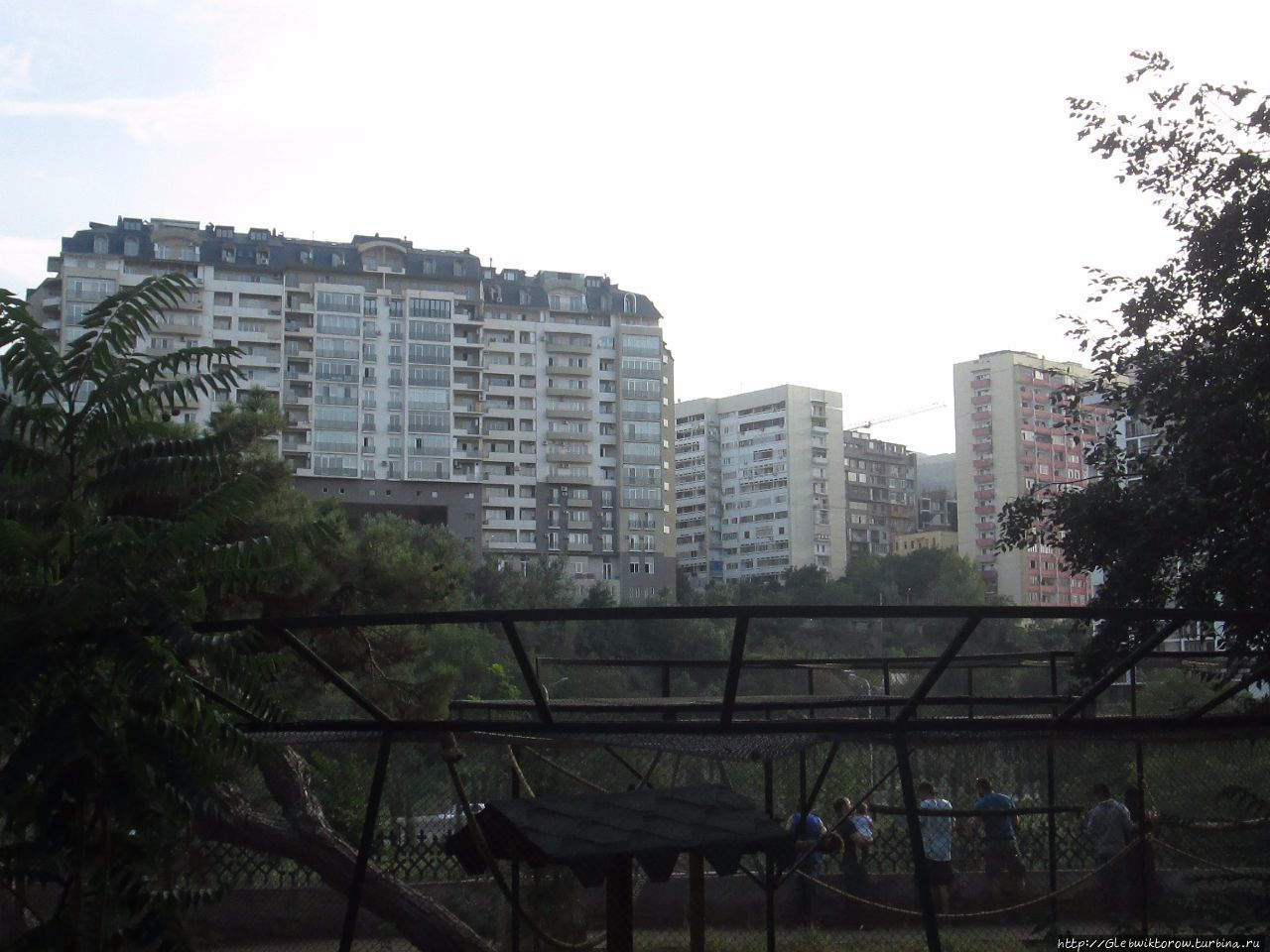 Зоопарк Тбилиси Тбилиси, Грузия