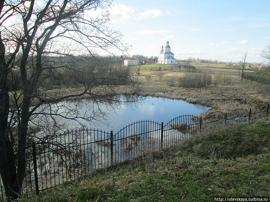 Суздальский 