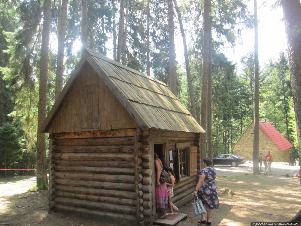 Прогулка по плато Боржоми Боржоми, Грузия