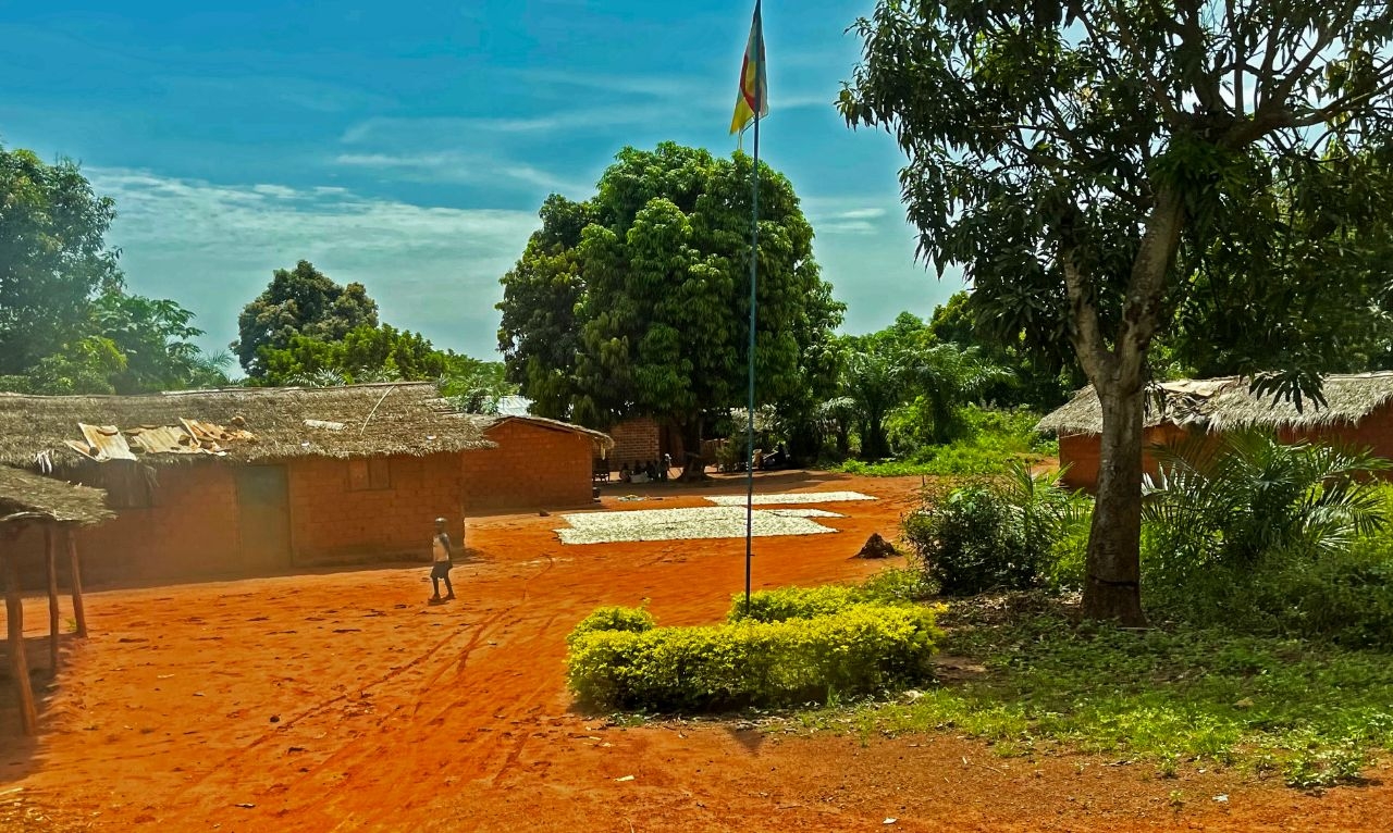 Картинки Центральной Африки. Боссонго и его окрестности
